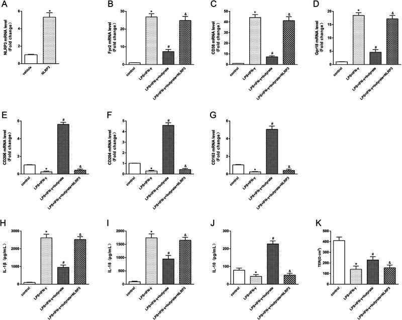 https://cdn.ncbi.nlm.nih.gov/pmc/blobs/455c/11841723/157f2a9f0e88/shock-61-120-g011.jpg