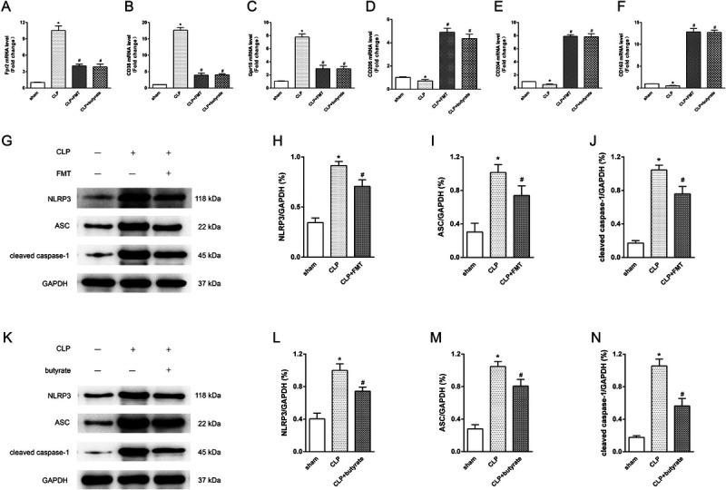 https://cdn.ncbi.nlm.nih.gov/pmc/blobs/455c/11841723/b0b06cffa7ee/shock-61-120-g009.jpg