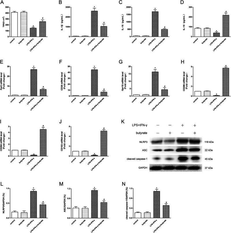 https://cdn.ncbi.nlm.nih.gov/pmc/blobs/455c/11841723/e844ea862448/shock-61-120-g010.jpg
