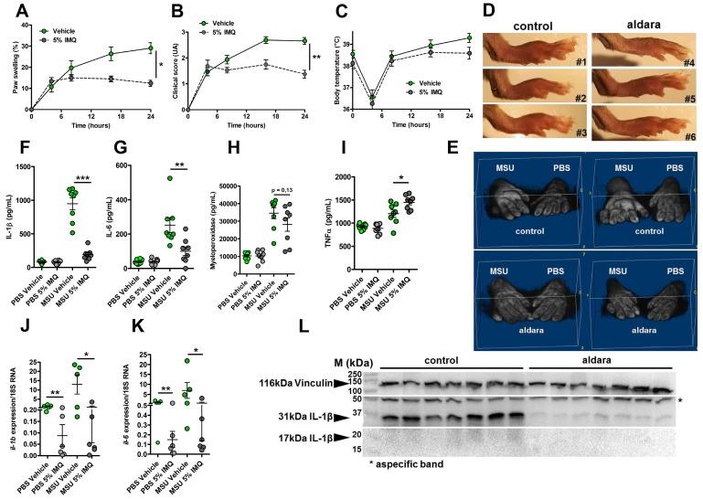 https://cdn.ncbi.nlm.nih.gov/pmc/blobs/455c/7019178/c40b67551e0e/thnov10p2158g004.jpg