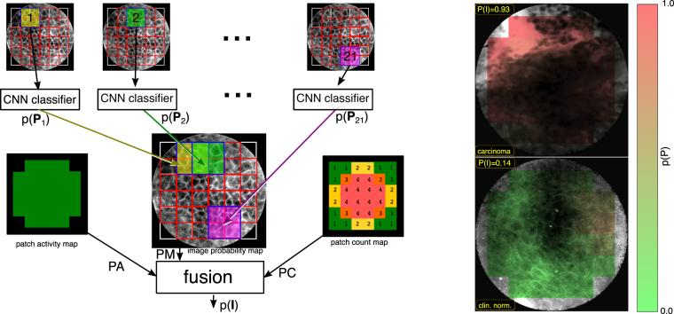 https://cdn.ncbi.nlm.nih.gov/pmc/blobs/455d/5607286/4add39351b0c/41598_2017_12320_Fig3_HTML.jpg