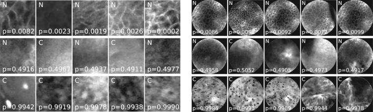 https://cdn.ncbi.nlm.nih.gov/pmc/blobs/455d/5607286/68fff191fa88/41598_2017_12320_Fig6_HTML.jpg