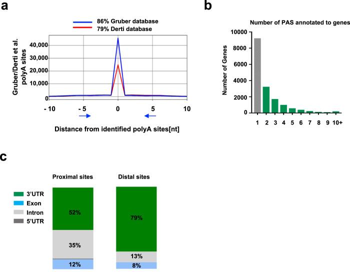 https://cdn.ncbi.nlm.nih.gov/pmc/blobs/455d/8460807/18044bc9924a/41467_2021_25763_Fig1_HTML.jpg