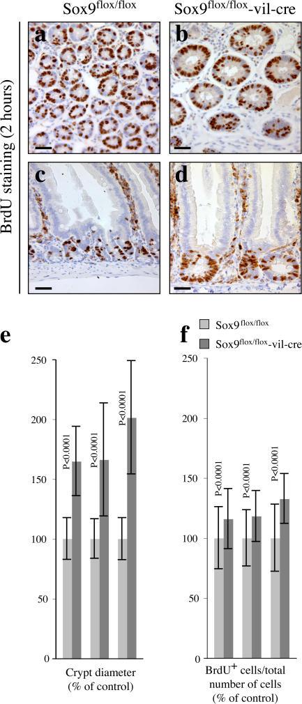 https://cdn.ncbi.nlm.nih.gov/pmc/blobs/455f/2064470/9902550368cb/jcb1780635f05.jpg