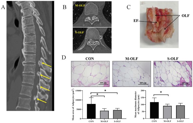 https://cdn.ncbi.nlm.nih.gov/pmc/blobs/4560/11320449/6143fbaa07a8/gr2.jpg