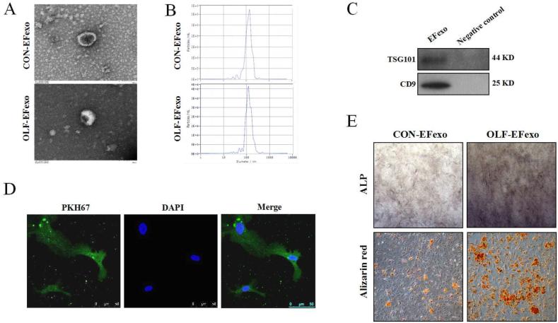 https://cdn.ncbi.nlm.nih.gov/pmc/blobs/4560/11320449/a45bbb436826/gr3.jpg