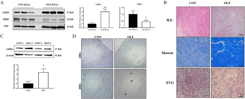 https://cdn.ncbi.nlm.nih.gov/pmc/blobs/4560/11320449/c0b2c3aaa43e/gr7.jpg