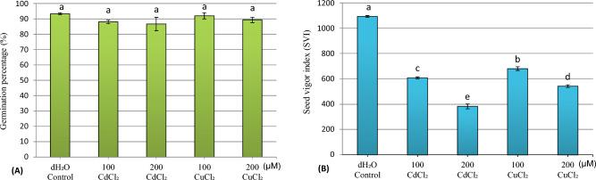 https://cdn.ncbi.nlm.nih.gov/pmc/blobs/4563/11016075/5836b2754793/41598_2024_58635_Fig1_HTML.jpg