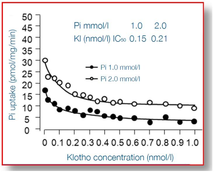 https://cdn.ncbi.nlm.nih.gov/pmc/blobs/4563/6784221/b4f6453bfbd5/toxins-11-00522-g004.jpg