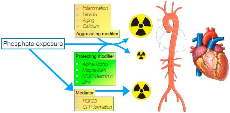 https://cdn.ncbi.nlm.nih.gov/pmc/blobs/4563/6784221/e1378d457628/toxins-11-00522-g001.jpg