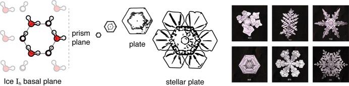 https://cdn.ncbi.nlm.nih.gov/pmc/blobs/4564/5639468/120f8a4ae7a2/cr-2017-002594_0012.jpg