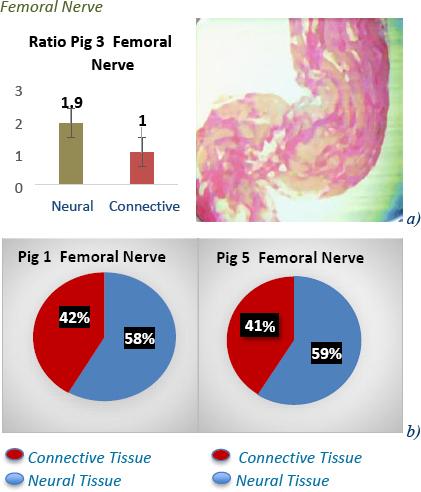 https://cdn.ncbi.nlm.nih.gov/pmc/blobs/4565/10750317/a85db546e489/j_joeb-2023-0007_fig_007.jpg