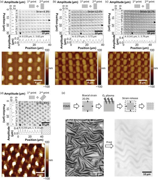 https://cdn.ncbi.nlm.nih.gov/pmc/blobs/4565/11515907/2ea90f9b5674/ADVS-11-2405151-g002.jpg