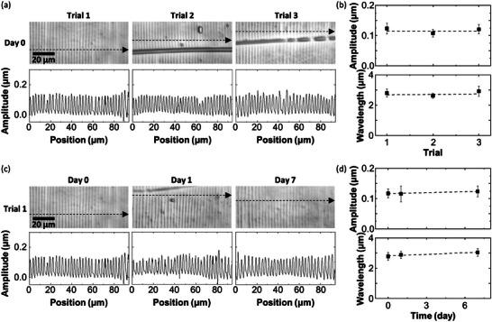 https://cdn.ncbi.nlm.nih.gov/pmc/blobs/4565/11515907/f84c55577b1c/ADVS-11-2405151-g004.jpg