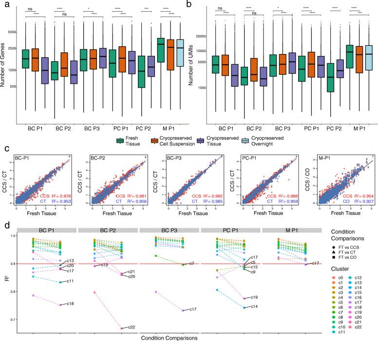 https://cdn.ncbi.nlm.nih.gov/pmc/blobs/4565/8111910/015c1427d1d2/13073_2021_885_Fig3_HTML.jpg