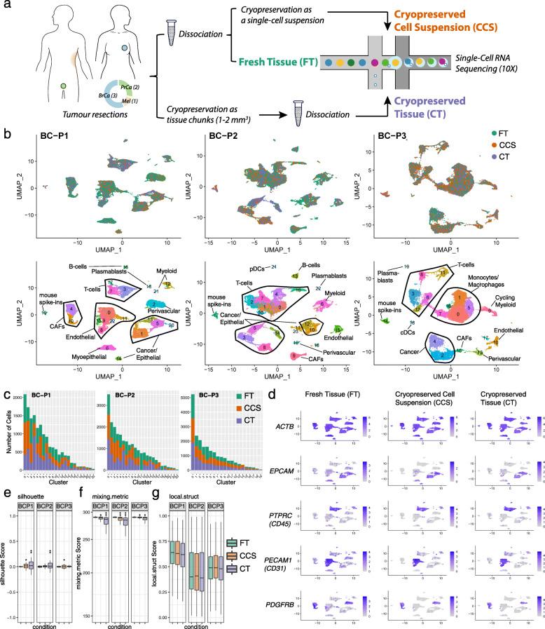 https://cdn.ncbi.nlm.nih.gov/pmc/blobs/4565/8111910/1a6940ad0173/13073_2021_885_Fig1_HTML.jpg
