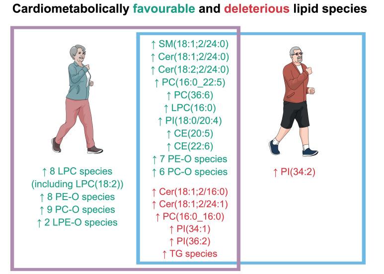 https://cdn.ncbi.nlm.nih.gov/pmc/blobs/4568/8146132/9f96b13e649c/metabolites-11-00287-g005.jpg