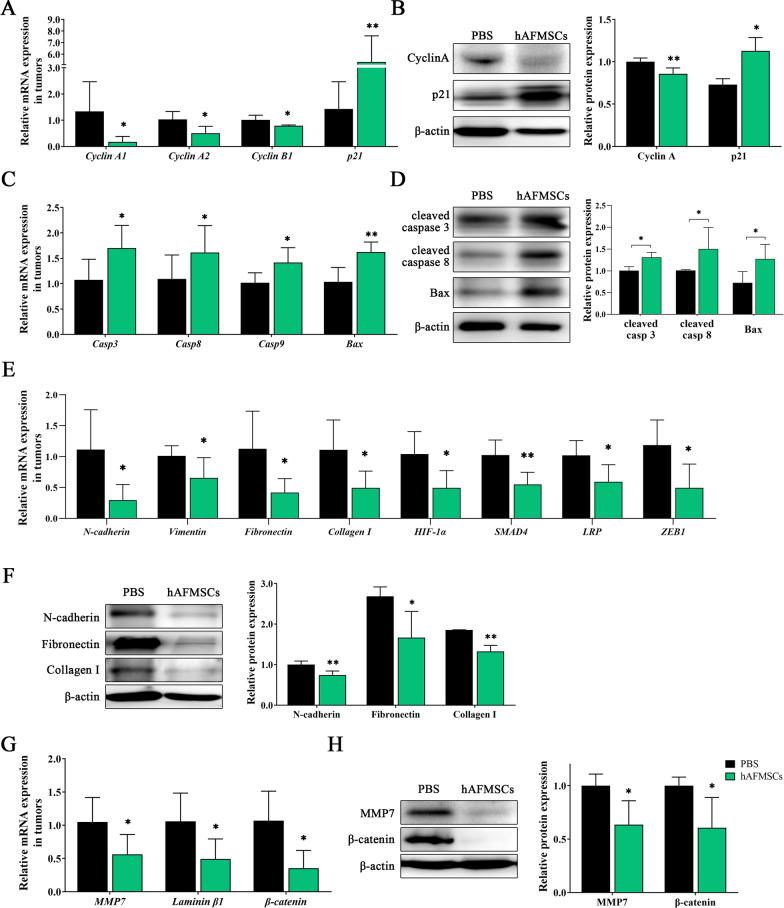 https://cdn.ncbi.nlm.nih.gov/pmc/blobs/4568/9166578/7362467ca815/13287_2022_2910_Fig7_HTML.jpg