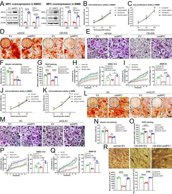 https://cdn.ncbi.nlm.nih.gov/pmc/blobs/456a/11745427/09b46a93e707/AD-16-1-432-g7.jpg