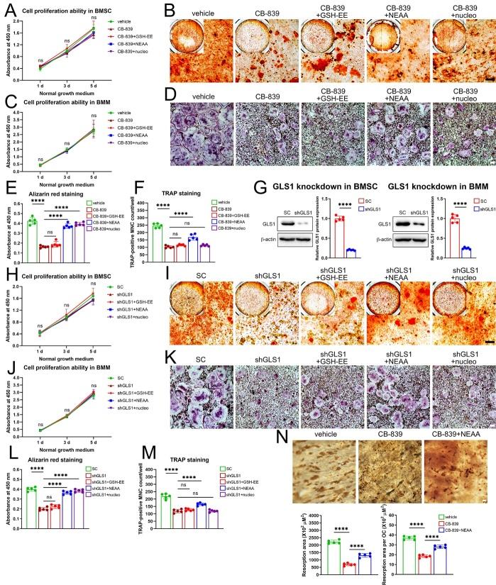 https://cdn.ncbi.nlm.nih.gov/pmc/blobs/456a/11745427/10785c476e0c/AD-16-1-432-g6.jpg