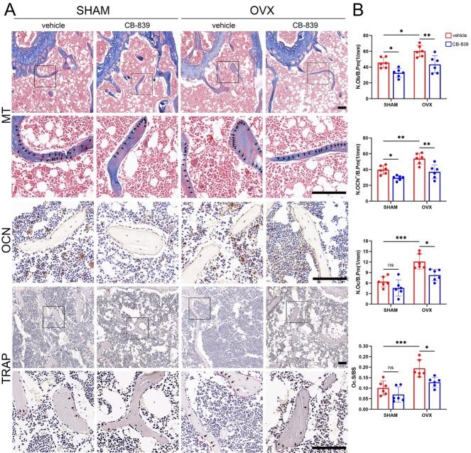 https://cdn.ncbi.nlm.nih.gov/pmc/blobs/456a/11745427/c2489e4e4528/AD-16-1-432-g3.jpg