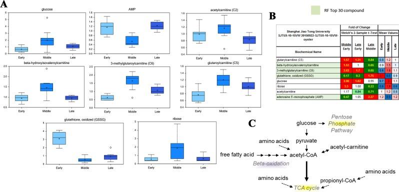 https://cdn.ncbi.nlm.nih.gov/pmc/blobs/456b/7145846/c4713ceaeb29/41598_2020_62963_Fig2_HTML.jpg