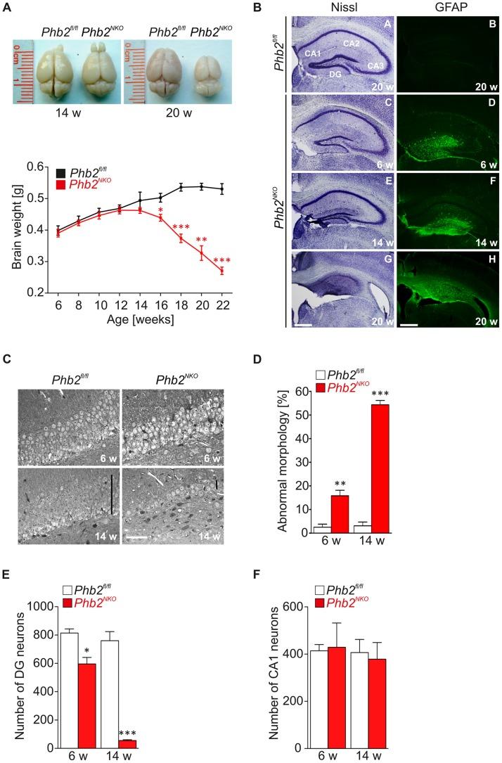https://cdn.ncbi.nlm.nih.gov/pmc/blobs/456c/3493444/d8c7ff9b0621/pgen.1003021.g002.jpg