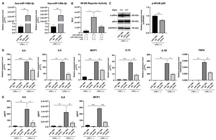 https://cdn.ncbi.nlm.nih.gov/pmc/blobs/456d/10138803/2454fb1c7746/ijms-24-07433-g003.jpg