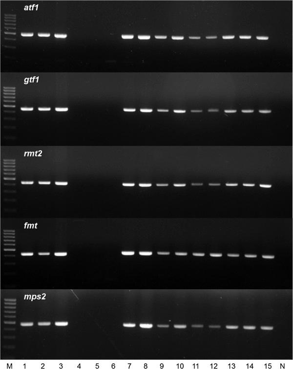 https://cdn.ncbi.nlm.nih.gov/pmc/blobs/456d/3878547/cb26aeabefe1/1471-2164-14-890-4.jpg
