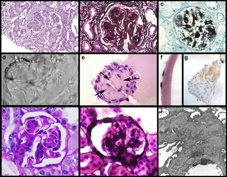 https://cdn.ncbi.nlm.nih.gov/pmc/blobs/456e/7609979/ae6cb91dd5a7/gr2.jpg