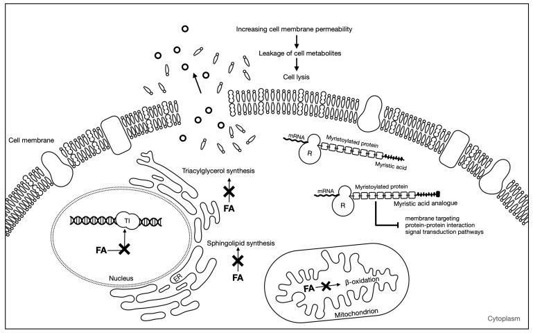 https://cdn.ncbi.nlm.nih.gov/pmc/blobs/4570/8954725/bfe96bf7f2a8/toxins-14-00188-g002.jpg