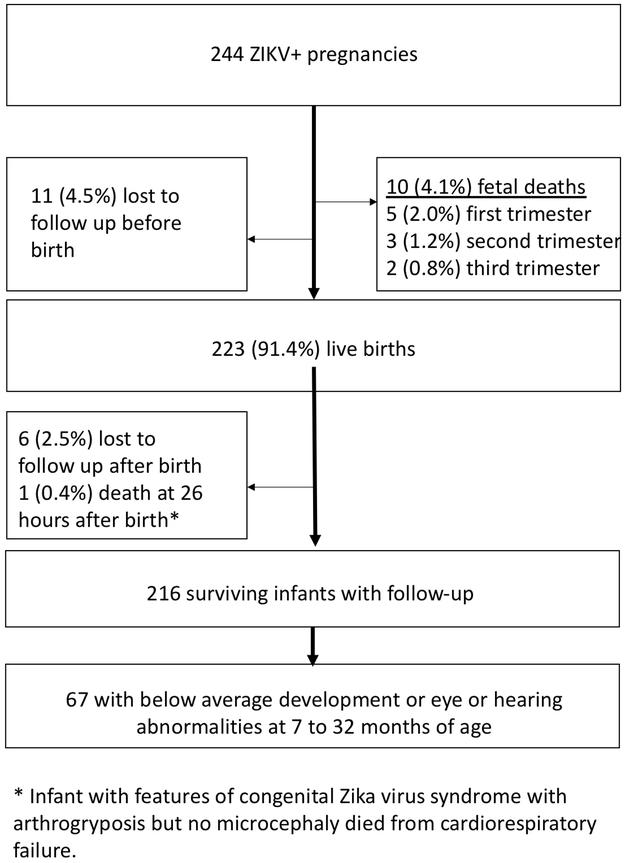 https://cdn.ncbi.nlm.nih.gov/pmc/blobs/4571/6689256/5fefebb12ff4/nihms-1530151-f0001.jpg
