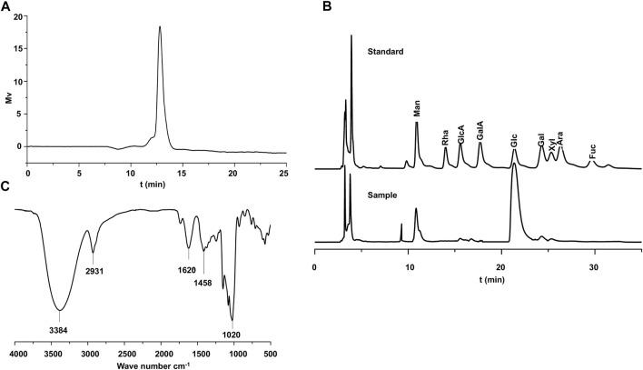 https://cdn.ncbi.nlm.nih.gov/pmc/blobs/4574/8899018/703e862f6e20/fphar-13-833077-g001.jpg
