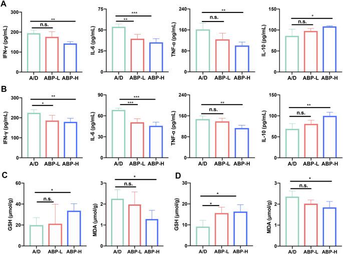 https://cdn.ncbi.nlm.nih.gov/pmc/blobs/4574/8899018/a6e31e0109db/fphar-13-833077-g003.jpg