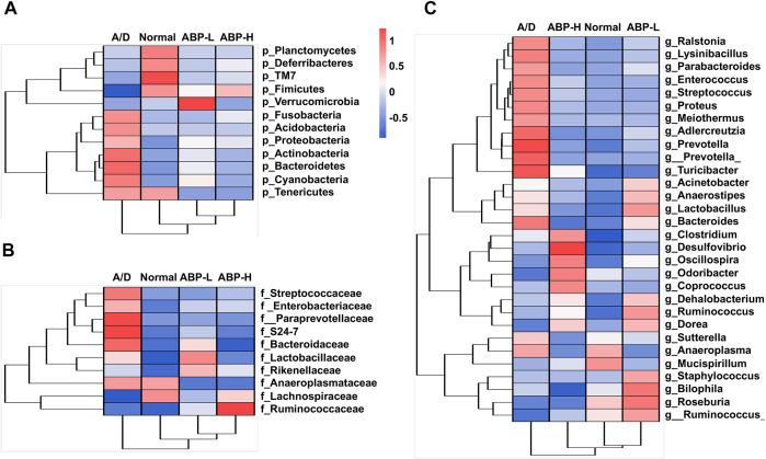 https://cdn.ncbi.nlm.nih.gov/pmc/blobs/4574/8899018/e19bd4ec3464/fphar-13-833077-g006.jpg