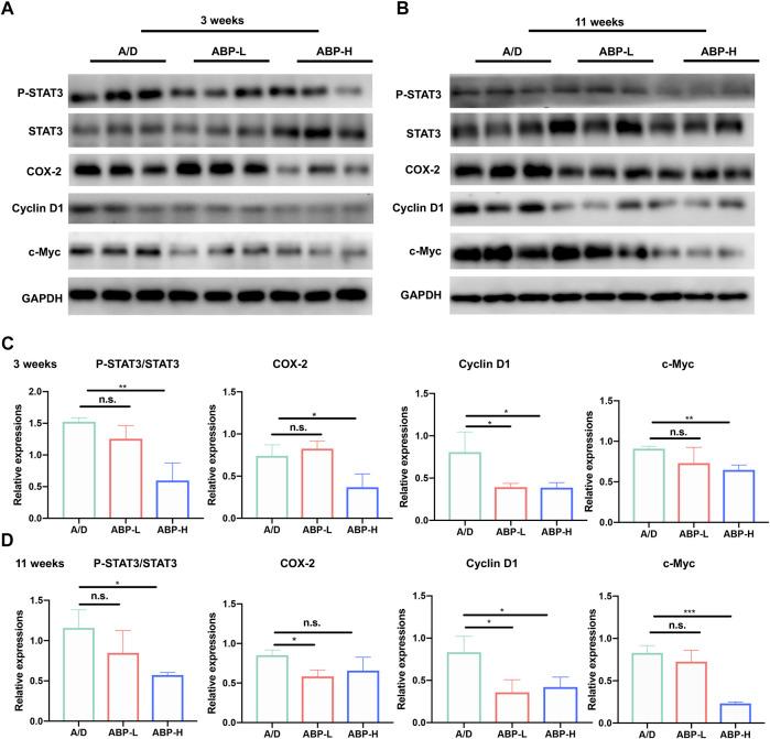 https://cdn.ncbi.nlm.nih.gov/pmc/blobs/4574/8899018/fde45eddae48/fphar-13-833077-g004.jpg