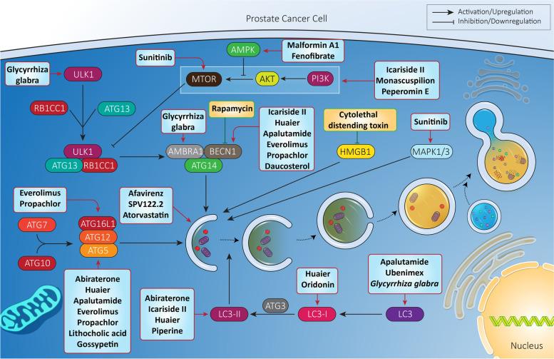 https://cdn.ncbi.nlm.nih.gov/pmc/blobs/4578/8939209/994494977b17/13046_2022_2293_Fig6_HTML.jpg