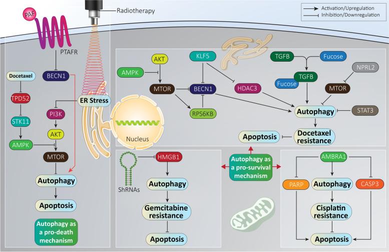 https://cdn.ncbi.nlm.nih.gov/pmc/blobs/4578/8939209/9991e7334c65/13046_2022_2293_Fig4_HTML.jpg
