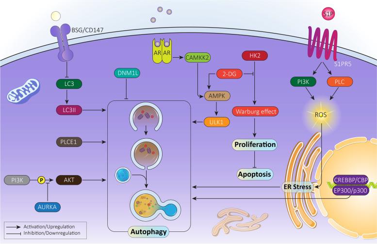 https://cdn.ncbi.nlm.nih.gov/pmc/blobs/4578/8939209/c28327f5b842/13046_2022_2293_Fig2_HTML.jpg
