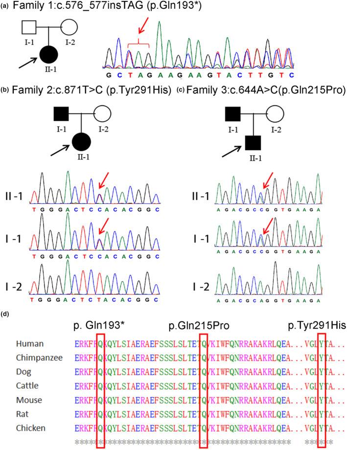 https://cdn.ncbi.nlm.nih.gov/pmc/blobs/457b/10767605/afb4cfdc3966/MGG3-12-e2334-g005.jpg