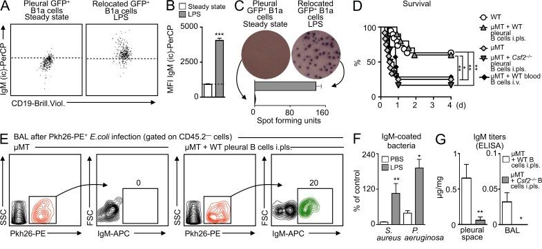 https://cdn.ncbi.nlm.nih.gov/pmc/blobs/457c/4042649/0b3c33584457/JEM_20131471R_Fig8.jpg