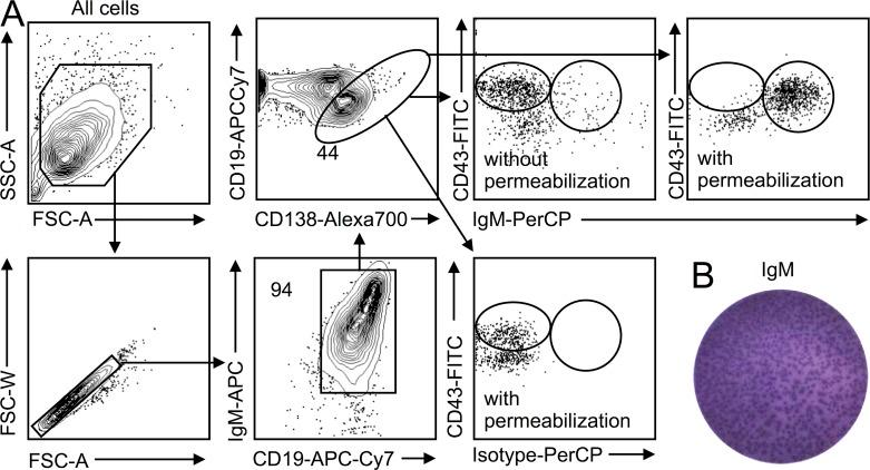 https://cdn.ncbi.nlm.nih.gov/pmc/blobs/457c/4042649/118c122947da/JEM_20131471_Fig2.jpg