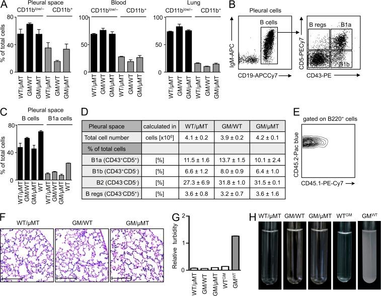 https://cdn.ncbi.nlm.nih.gov/pmc/blobs/457c/4042649/5349516287d1/JEM_20131471_Fig4.jpg