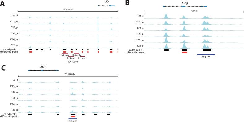 https://cdn.ncbi.nlm.nih.gov/pmc/blobs/457d/10368423/9de9cc554490/elife-84969-fig4-figsupp1.jpg