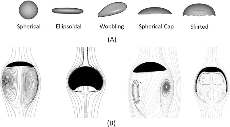 https://cdn.ncbi.nlm.nih.gov/pmc/blobs/4580/6287757/36173a6ef617/nihms-995872-f0009.jpg