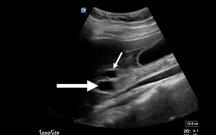 https://cdn.ncbi.nlm.nih.gov/pmc/blobs/4581/11366253/166cf6fa35d8/OAEM-16-221-g0005.jpg
