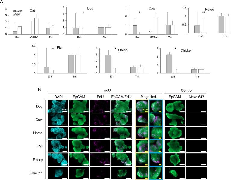 https://cdn.ncbi.nlm.nih.gov/pmc/blobs/4581/5450310/8c454136b0f3/biolopen-6-021717-g4.jpg