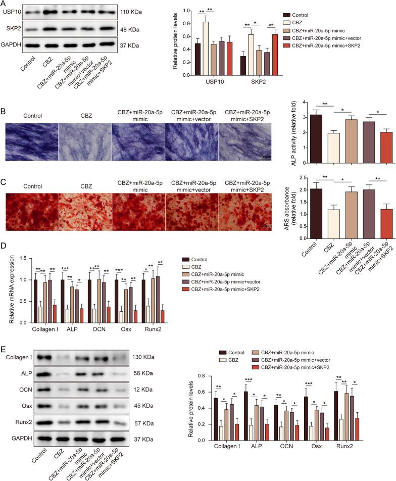 https://cdn.ncbi.nlm.nih.gov/pmc/blobs/4583/10619296/8ccbdaa12991/13018_2023_4169_Fig6_HTML.jpg