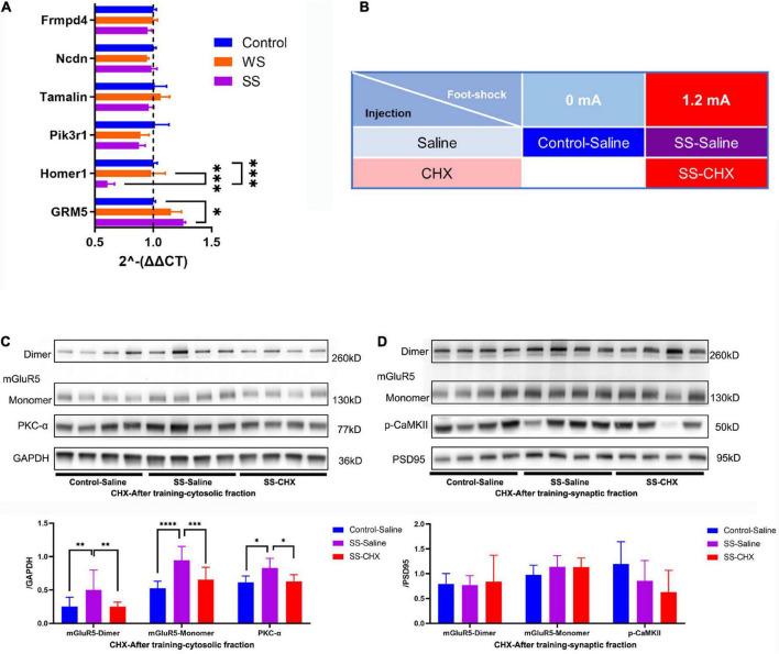 https://cdn.ncbi.nlm.nih.gov/pmc/blobs/4584/9986332/777aa55008e4/fnbeh-17-1072642-g005.jpg