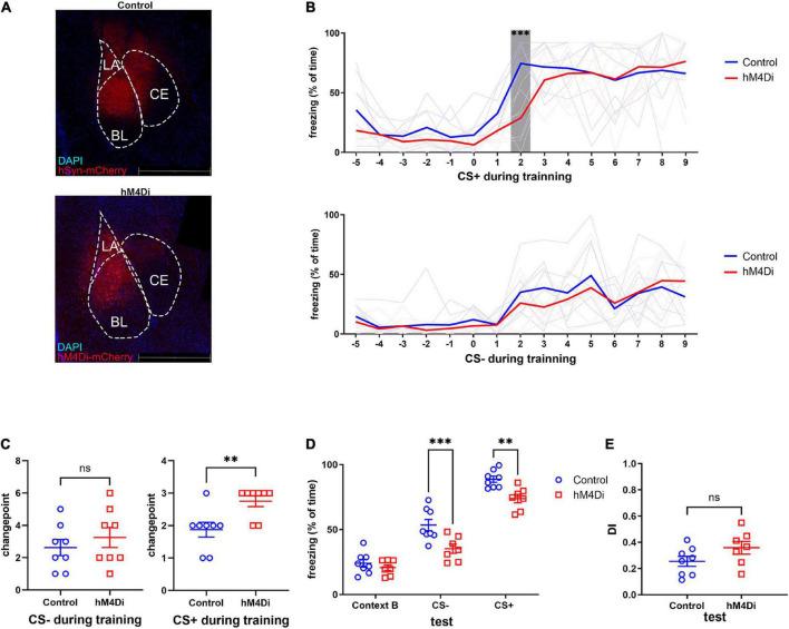 https://cdn.ncbi.nlm.nih.gov/pmc/blobs/4584/9986332/985c6b210ddd/fnbeh-17-1072642-g003.jpg